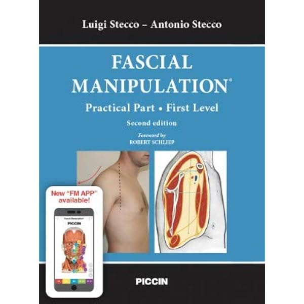 Fascial manipulation. Superficial fascia and systems. Practical