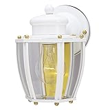 Angelo Brothers 66962 One-Light Wall Lantern [並行輸入品]