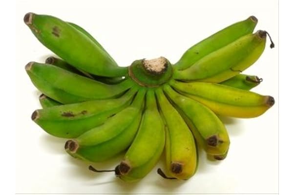 バナナ エクアドル産 2房 ご家庭用 ハンドバナナ フルーツ 国華園 果物 約6kg前後 送料無料 食品 おトク情報がいっぱい 2房