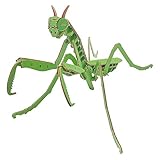 つくるんです ポケットバグズ 色付き オオカマキリ 日本語説明書付