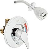 Zurn Z7301-SS-MT Shower Unit [並行輸入品]