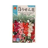 椿咲 ほうせん花 (808)