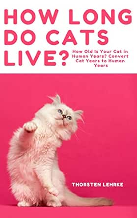 how old would a cat be in human years