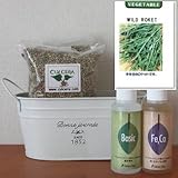 ワイルドロケット（セルバチコ）の栽培セット/豊作セット（液体肥料付き）プランターホワイト仕様