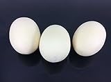 Eggホワイト人工リアルなシミュレーション人工フェイクDuck Egg 3ピース