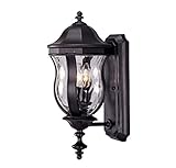 Savoy House Lighting KP-5-304-BK Monticello Collection 2-Light 18-inch Outdoor Wall Mount Lantern, B