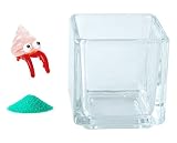 花市場直送便 ミニチュアガラス ヤドカリちゃん & カラーサンド エメラルドグリーン & 植え込み用グラス ニューブロックS