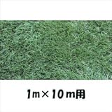 クローバーターフ　つや消しタイプ　人工芝：40mm　1ｍ×10ｍ　CTM40 グリーン