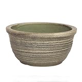 信楽焼 天目ひねり水鉢 13号 ／睡蓮鉢