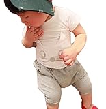 nico+(ニコプラス) Tシャツ パンツ ２点セット ネコ グレー 80cm