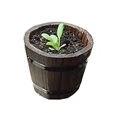 BOBORA　木の桶　植木鉢　家庭用品