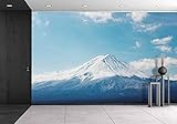 wall26 粘着式 大型壁の壁画シリーズ 壁紙  66"x96" WMR-WP-X-C435-66x24x4