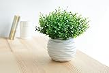 人工観葉植物 光触媒 かわいい お世話のいらない 癒しの グリーン キッチン リビング に置くだけで 癒しの 空間 を創りだす インテリア グリーン (ホワイト)
