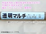 1本あたり600円！ 透明マルチ [透明マルチシート] 0.02mm×95cm×50m（10本入×2セット） 【農業用】 【家庭菜園用】