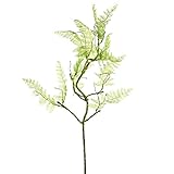 Select Artificial 4012809518 30 Green Moss Lace Fern Vine Stem【クリスマス】【ツリー】 [並行輸入品]