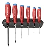 PB Swiss Tools SwissGrip Screwdriver Set with Wall Rack for Torx Screws, size T8-T25 [並行輸入品]