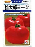 桃太郎ヨーク　タキイ交配　　（グリーンデポ）