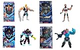 マスターズ オブ ユニバース(MASTERS OF THE UNIVERS) アニメーション ラージフィギュア Bアソート【フィギュア4体セット】 【4才~】 986B-HBL80