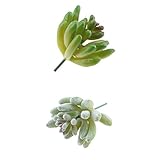 SONONIA 全3タイプ　2.36インチ　人工多肉植物　エケベリア　 - グリーンとライトグリーン