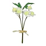 アストランティアピック(3本) FXFPF0011WHT