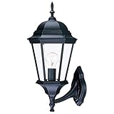Acclaim 5250BK/SD Richmond Collection 1-Light Wall Mount Outdoor Light Fixture, Matte Black [並行輸入品]