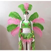 カーニバル衣装 レッド フェザー 純正ダチョウ羽 カーニバル衣装 レッド フェザー 純正ダチョウ羽 - メルカリ