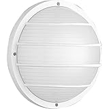 Progress Lighting P5703-30 Polycarbonate Light Mounted On Walls Or Ceilings Indoors or Outdoors with