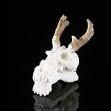 Flameer ファッション　樹脂　水族館　生き生き　飾り　タンク　装飾　工芸品　　爬虫類　テラリウム　多種類選べ - ドラゴンスカル