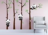Nursery Panda Bear竹ツリー壁保育園デカールアートフォレストキッズ部屋ホワイトバーチステッカーカスタム# 1350 108" (9ft) Tall 1350