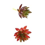 Homyl 3タイプ選べる　創造的　人工多肉植物　ホームインテリア花　人工花 - 紫とオレンジ