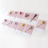 【Blooming＆me】フラワーデザイナーおすすめ おしゃれ度UP！ 人気のインテリア ピンクドライフラワーカード (5P) ランダム発送 [並行輸入品]