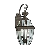 Transglobe Lighting 4330 WB Outdoor Wall Light with Beveled Glass Shades, Weathered Bronze Finished 