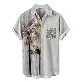 カジュアル シャツ 半袖 長袖 レジャー ス メンズ tシャツ 着心地良 抗菌 カジュアル アウトドア 大きいサイズ 時尚な かっこいい 洗