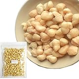 訳あり マカダミアナッツ キャンディコート 500g (1kgの半分）マカダミアナッツチョコレートのマカダミア部分です！