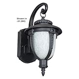 Sunset Lighting F7996-62 Outdoor Wall Lantern with Speckled Frosted Glass, Rubbed Bronze Finish [並行輸