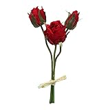 プリローズピック(3本) FXFPF0006RED