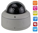 ENSTER 2.0MP Vandalproof Metal Dome POE camera Varifocal Lens 30pieces IR LED Mobile Phone View 1/2.