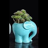 Liebeye 植木鉢 象 陶器　卓上　装飾 多肉植物 フラワーポット 多肉 可愛い おしゃれ ブルー 12cm * 10cm