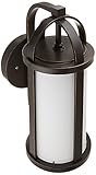 Progress Lighting P5631-20 Greetings Collection 1-Light Wall Lantern, Antique Bronze [並行輸入品]