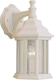 Forte Lighting 1715-01-13 Exterior Wall Light with Clear Beveled Glass Shades, Matte White [並行輸入品]