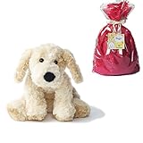 メモリアルギフト 洗えるぬいぐるみ ミンクプラッシュ 犬　ベージュ (通常子供ラッピング)