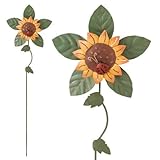 Regal Mini Spinwheel Sunflower