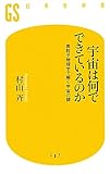 宇宙は何でできているのか (幻冬舎新書 む 2-1)