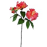 ピオニースプレーX5 FXFM0007RED