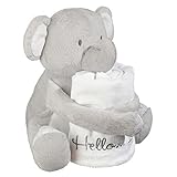Noah's Ark Plush Blanket Gift Set I'm New Here Giraffe by Grasslands Road