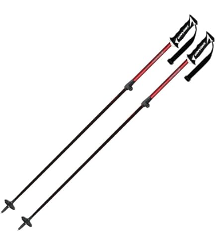 新品未使用スキーストック(ポール) 伸縮　シナノSINANO 100〜123cm Amazon | SINANO シナノ ジュニア キッズ スキー ポール・ストック