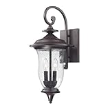 Elk Lighting 8002EW/75 Trinity Coach Lantern Medium Oil Rubbed Bronze Finish [並行輸入品]