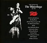 The Best of The Waterboys '81-