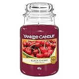 Yankee Candle Large Jar Candle, Red Raspberry by Yankee Candle