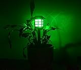 RioRand　庭の芝生を明るく照らす！ソーラー LED ガーデンライト 芝生ライト ミニソーラー 芝生ランプ ソーラーランプ ソーラーLEDライト　４PCS/SET (カラフル)